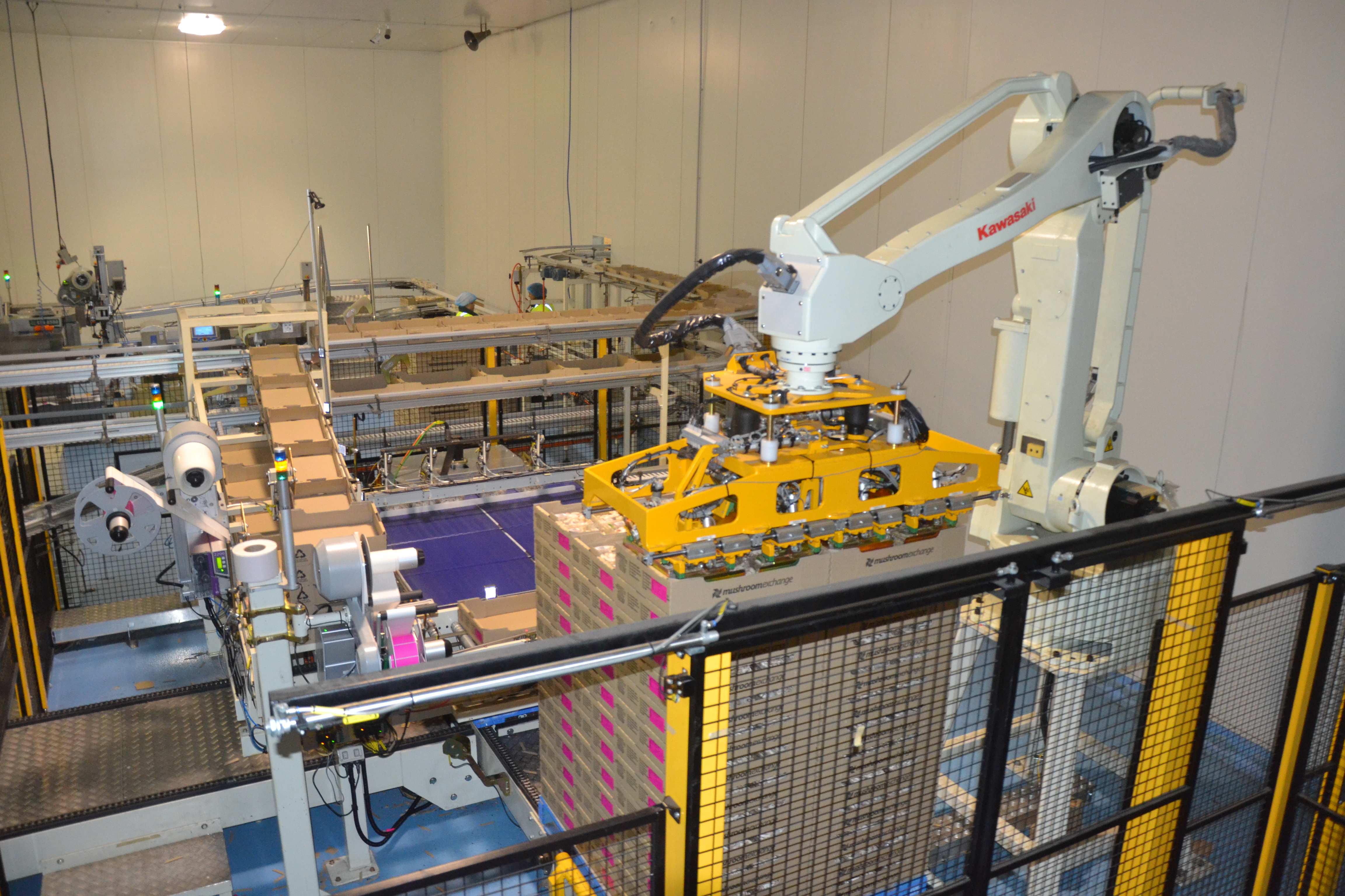 Tray Palletizing